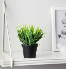 Бонсай в горшке "Зелень люкс" 7х11см, 9750534