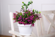 Горшок "Толедо" d 24 4,5л белый с поддоном