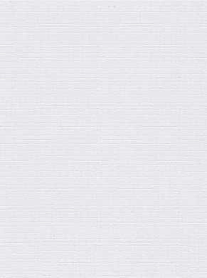 Штора рулонная СРШ-03-2800 100х160 белая DELFA