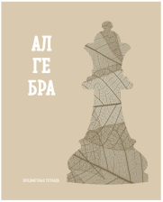 Тетрадь предметная 48 л BG Подсказки Алгебра