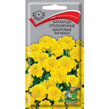 Семена Бархатцы отклонен махров Бой желтые (Поиск)