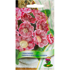 Семена Глоксиния Импресс Красные чернила (Поиск)