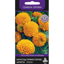 Семена Бархатцы прямостоячие Антигуа Оранж (Поиск)