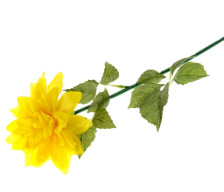 Цветок искуственный Георгин 72см желтый 993-0576