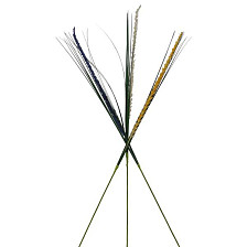 Ветка Колос с осокой 75см