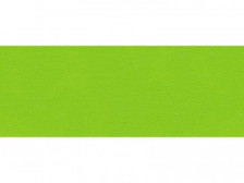 Кромка ПВХ 2 х 19 мм зеленая мамба 7190