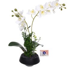 Цветок Орхидея 20х38см (белая) 951-438
