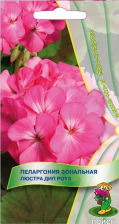 Семена Пеларгония зональная Люстра Дип Роуз (Поиск)