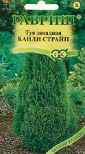 Семена Туя Канди Страйп западная 0,05гр (Гавриш)