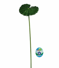 Лист лотоса плавающий 20х90 см 736-036