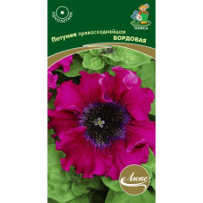 Семена Петуния превосходнейшая Бордовая (Поиск)