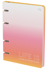 Тетрадь на кольцах А5 120 л BG Life is 382724