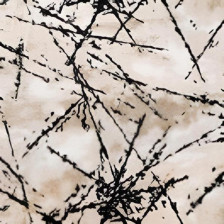 Дорожка PARANTEZ CLASS 9158 lazer 3056 black&beige 1,0м