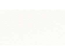 Кромка ПВХ 2х19 мм мм белый кристалл 2251