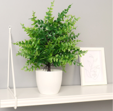 Бонсай в горшке "Нефролепсис" 9х30см, 7081299