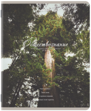 Тетрадь предметная 48 л Brauberg Esthetics Обществознание