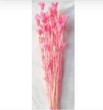 Сухоцвет Нигелла 70 см нежно-розовый