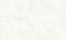 Обои 70513-11 Аспект 1,06х10 (6)