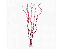 Ветки декор  Kuwa 70-80cм 6шт красные