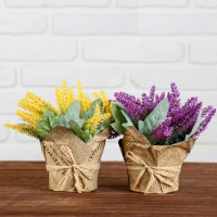 Цветок Бонсай Лаванда нежная 15см 4642630