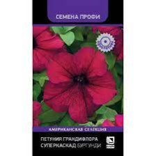 Семена Петуния грандифлора Суперкаскад Бургунди (Поиск)