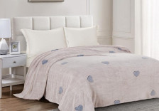 Плед 200х220 микрофибра в чемодане Cleo BAMBOO 200/261-pb