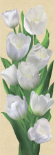 Фотообои "Тюльпаны" 4л (97х272) ЗОЛОТАЯ КОЛЛЕКЦИЯ