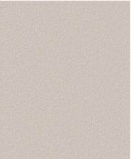 Обои 1091-06ОАВ Ateliero Береста 1,06х10 (6)