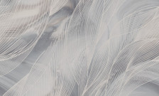 Обои НC6419 Wiganford Estetico 1,06х10 м (6)