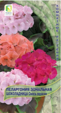 Семена Пеларгония зональная Шоколадница Смесь окрасок 5шт (Поиск)
