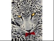 Ковер Color дизайн L819A 1,6х2,3м l.grey-red