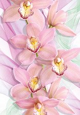 Фотообои "Орхидеи" 4л (194х136) Премиум