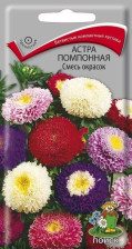 Семена Астра помпонная Смесь окрасок (Поиск)