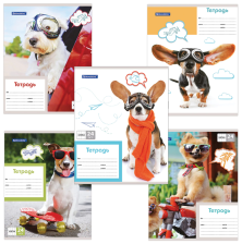 Тетрадь 24 л Brauberg клетка My best friend