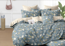 КПБ поплин 1,5 сп Cleo Pure Cotton 278-PC 70х70