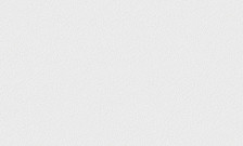 Обои 1091-02ОАВ Ateliero Береста 1,06х10 (6)