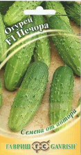 Семена Огурец Печора 10шт автор (Гавриш)