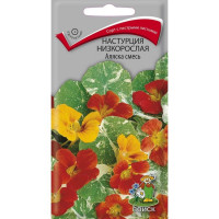 Семена Настурция низкорослая Аляска смесь (Поиск)