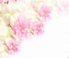 Потолок пластиковый  2500х2000мм (8шт) Эльза NOVITA