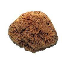 Губка натуральная морская Pentrilo 15х10 см 09589