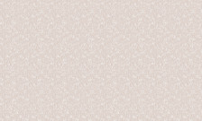Обои 24006-11 Style Walls 1,06x10 (6)