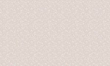 Обои 24006-11 Style Walls 1,06x10 (6)