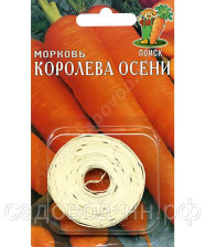 Семена Морковь Королева осени на ленте (Поиск)