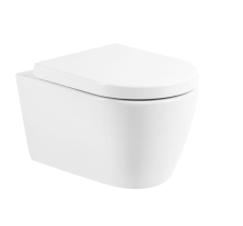 Унитаз подвесной MARINO BB105СНR с сиденьем микролифт