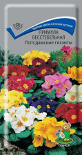 Семена Примула бесстебельная Потсдамские гиганты (Поиск)