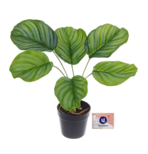 Цветок искуственный Калатея 28см в горшке 951-562