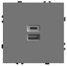 Розетка 2-м USB+Type Эмили RST10-5115-10 платиново-серый