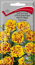 Семена Бархатцы отклоненные махровые  Солнечные (Поиск)