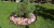 Лента бордюрная КАНТА (10смх10м) коричневый