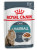 Корм для кошек Royal Canin HairBall care, пауч, соус 85 гр